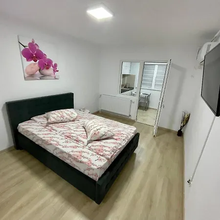 Garsoniera Moderna 1 Apartment *