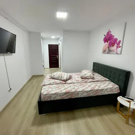 Garsoniera Moderna 1 Apartment Pitesti